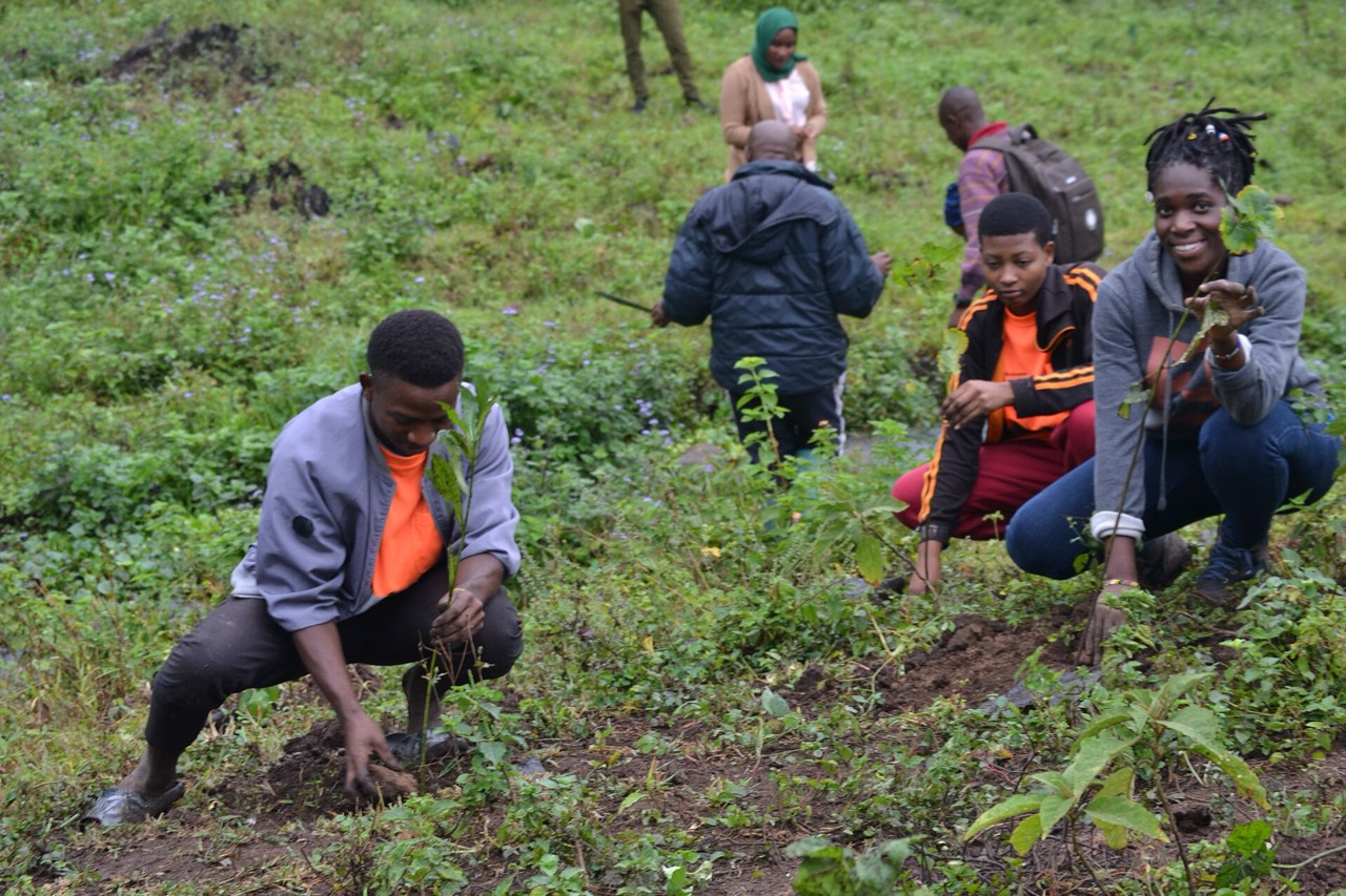 Bénévoles de l'ADES plantant de jeunes arbres sur le terrain à Ghardimaou