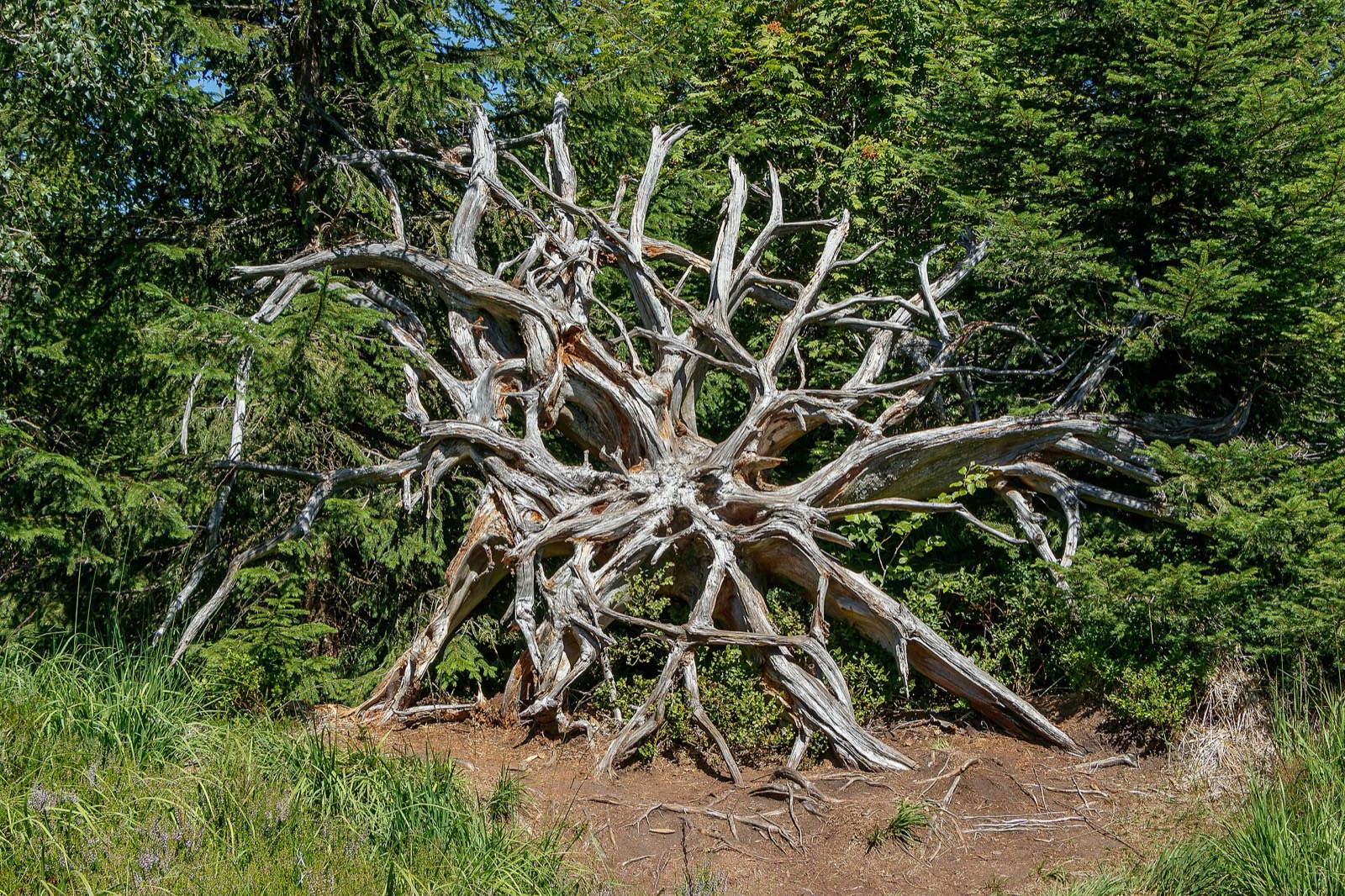 Sentier d'écotourisme